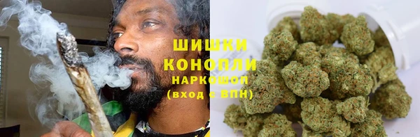 Альфа ПВП Горняк