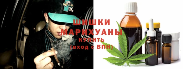 Альфа ПВП Горняк