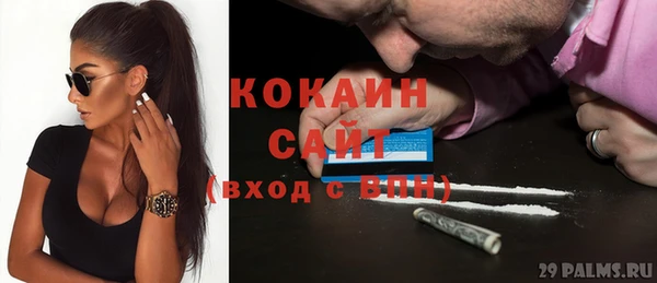 Альфа ПВП Горняк
