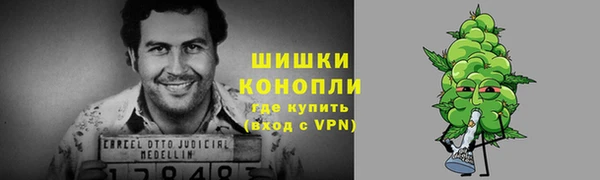 шишки Гусев