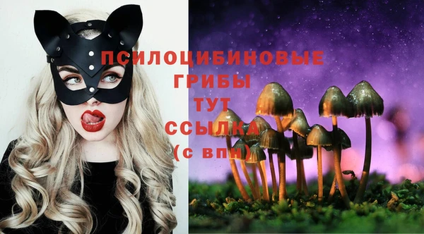 бутират Горно-Алтайск