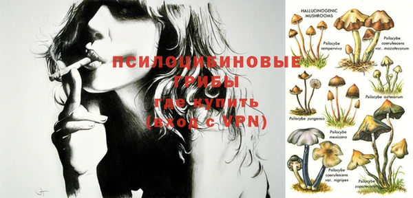 крисы Гусиноозёрск