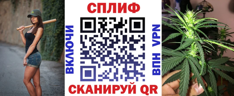 продажа наркотиков  Чкаловск  Бошки Шишки White Widow 